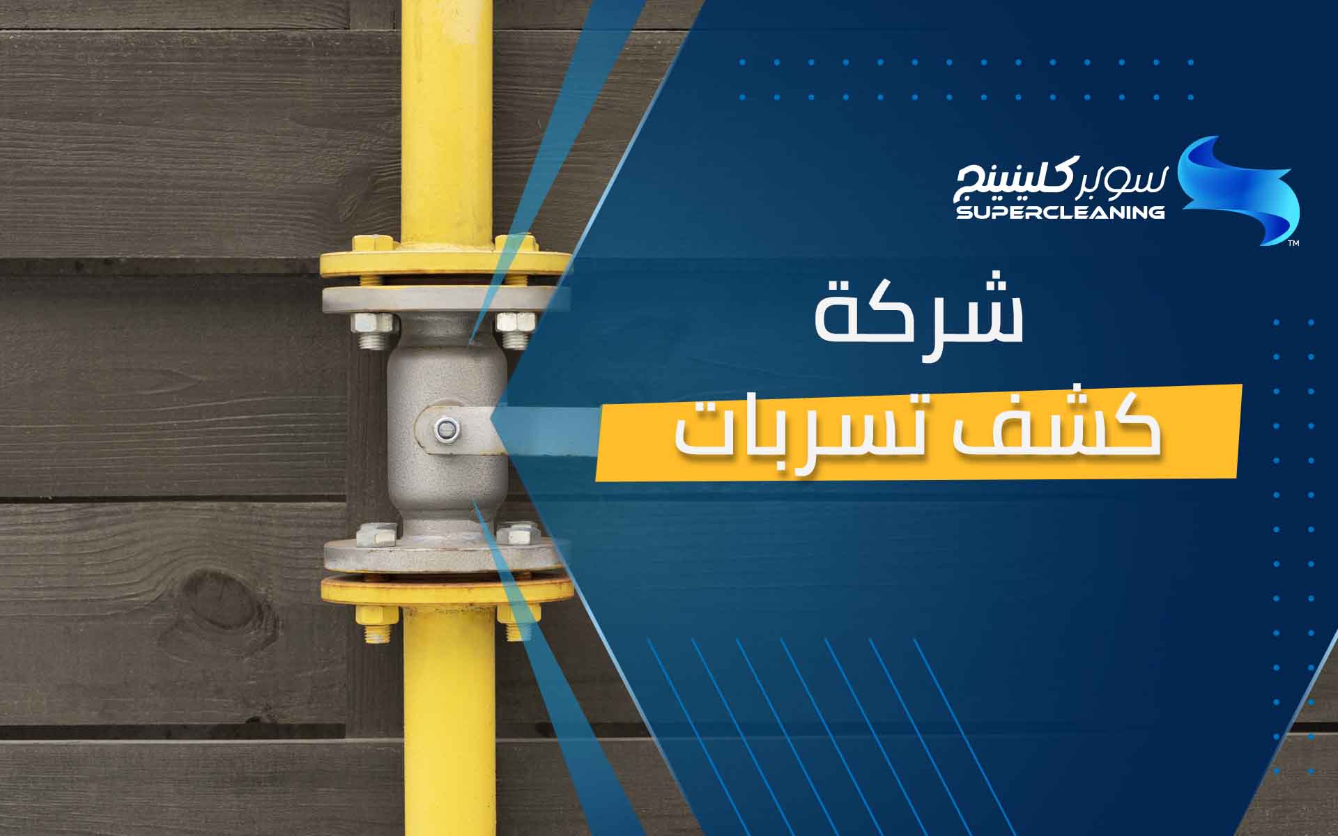 شركه كشف تسربات