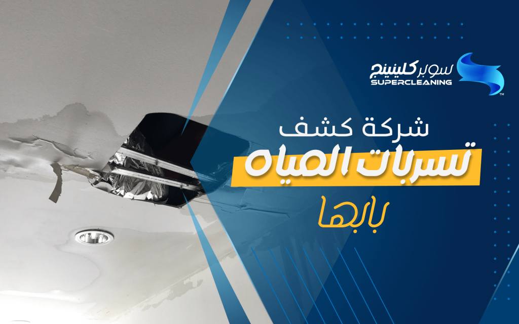 شركة كشف تسربات المياه بابها
