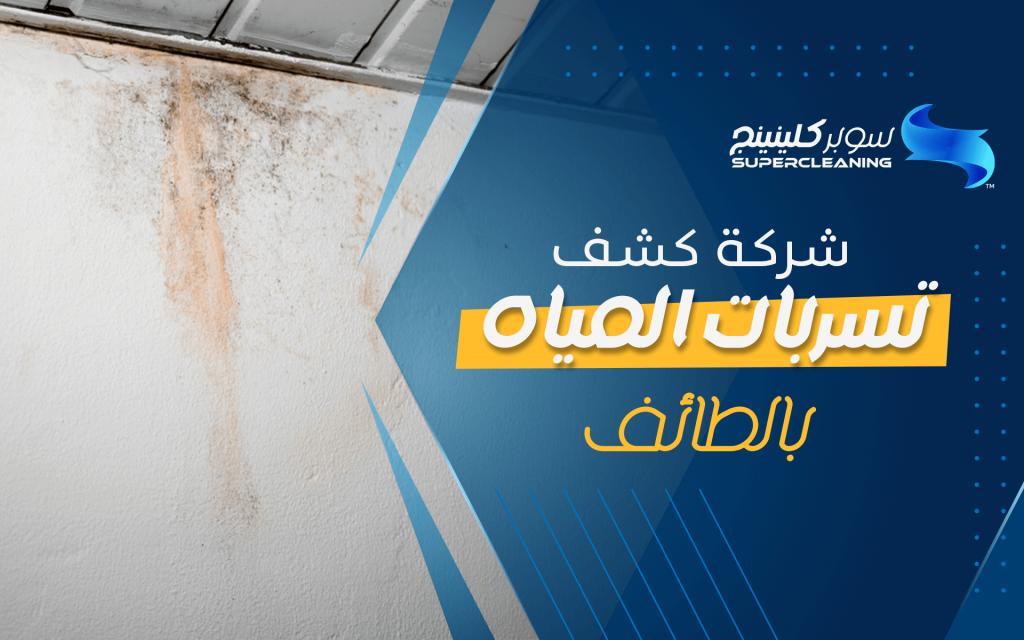 شركة كشف تسربات المياه بالطائف