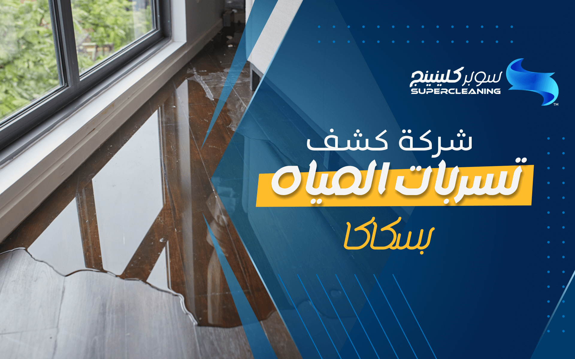 شركة كشف تسربات المياه بسكاكا