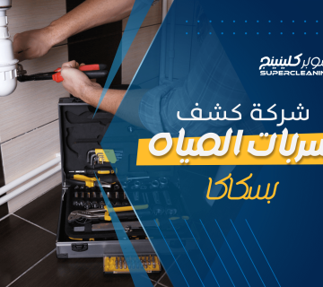 شركة كشف تسربات المياه بسكاكا